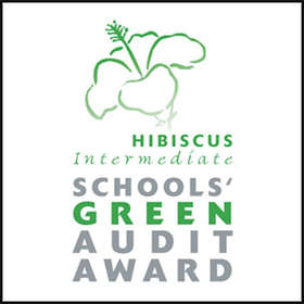 Green Audit (Hibiscus)